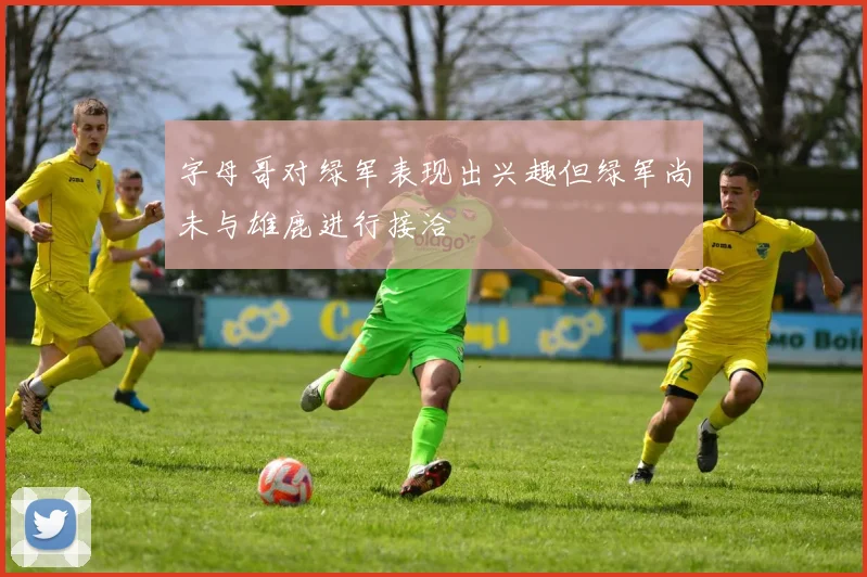 字母哥对绿军表现出兴趣但绿军尚未与雄鹿进行接洽